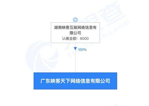 映客廣東新業(yè)務(wù)布局 房地產(chǎn)經(jīng)紀與區(qū)塊鏈技術(shù)并進